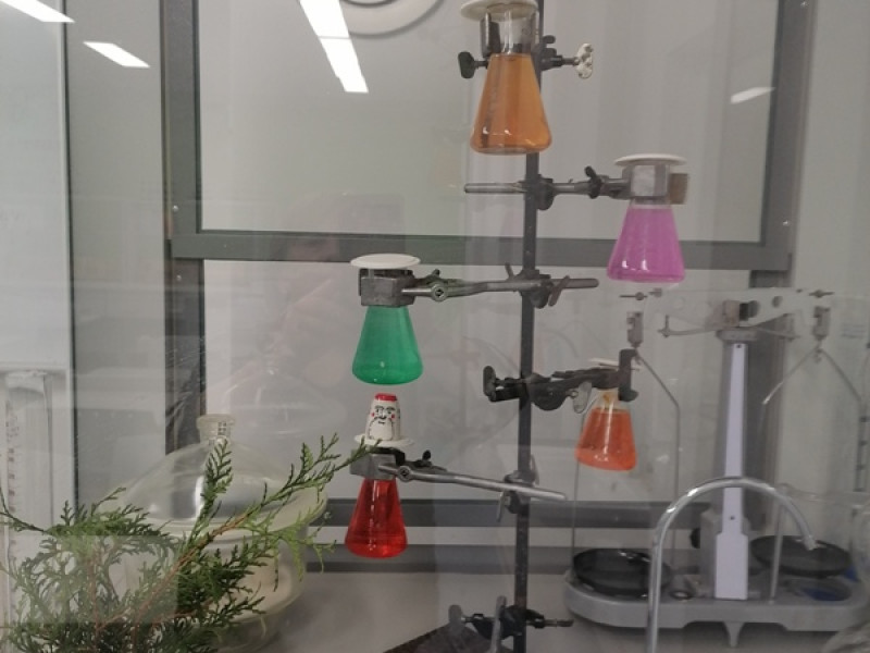 В кабинете химии появилась необычная новогодняя елка!.